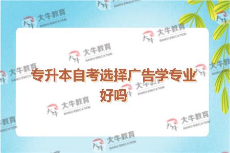 专升本自考选择广告学专业好吗(二)
