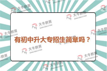 华师有初中升大专招生简章吗2