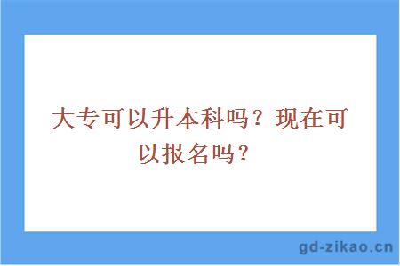 初专可以升本科吗？现在可以报名吗？