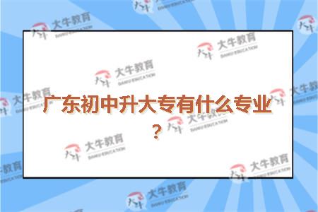 广东初中升大专有什么专业?10