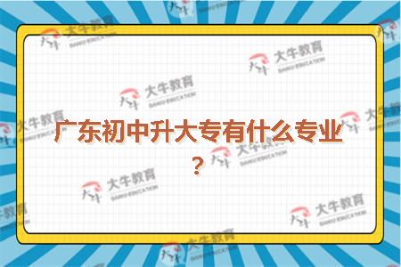 广东初中升大专有什么专业?