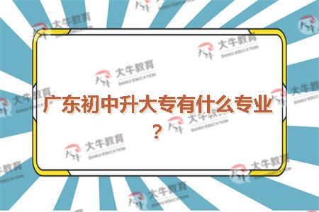 广东初中升大专有什么专业?