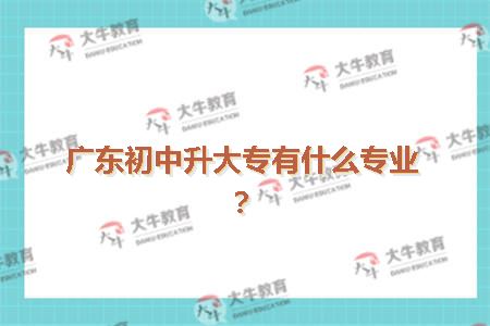 广东初中升大专有什么专业?