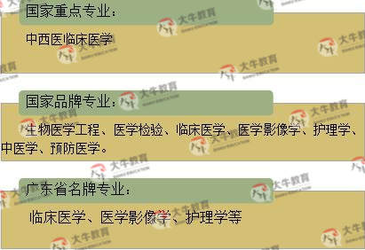 南医大名牌专业