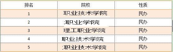 3b专科学校排名