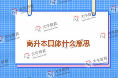 高升本的意思