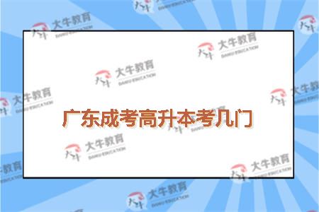 成考高升本考几门