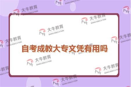 自考大专文凭有用吗