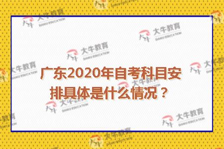 广东2020年自考科目安排具体是什么情况?