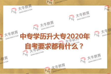 自考