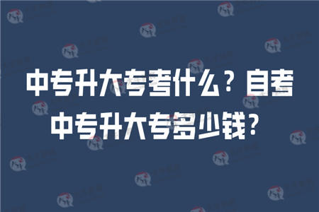自考大专