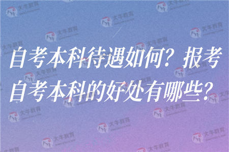 自考本科