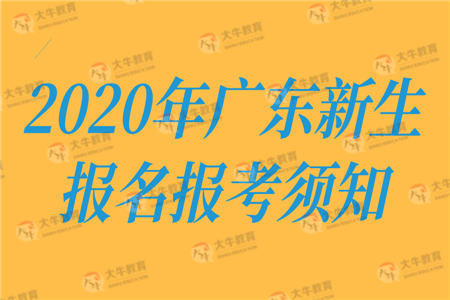 自考报名