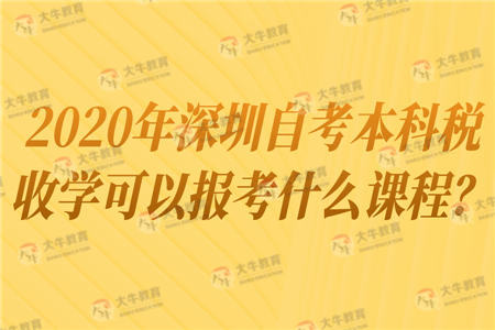2020年深圳自考本科税收学可以报考什么课程?