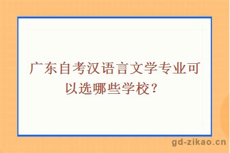 广东自考汉语言文学专业可以选哪些学校？