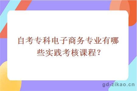 自考专科电子商务专业有哪些实践考核课程？