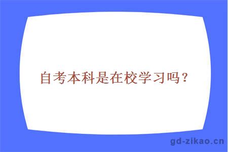 自考本科是在校学习吗？ 