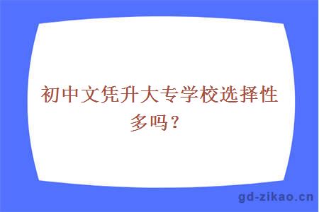 初中文凭升大专学校选择性多吗？