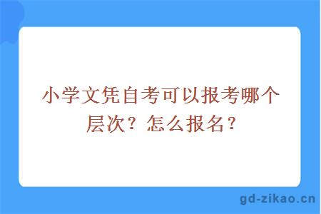 小学文凭自考可以报考哪个层次？怎么报名？