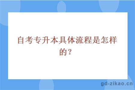 自考专升本具体流程是怎样的？