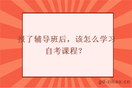 报了辅导班后，该怎么学习自考课程？