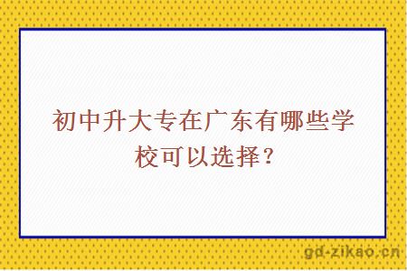 初中升大专在广东有哪些学校可以选择？