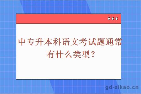 中专升本科语文考试题通常有什么类型？