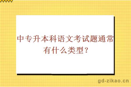 中专升本科语文考试题通常有什么类型？