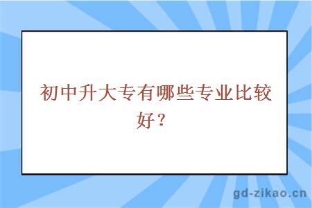 初中升大专有哪些专业比较好？