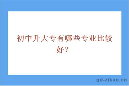 初中升大专有哪些专业比较好？