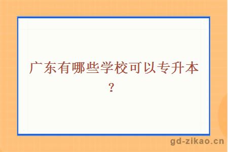 广东有哪些学校可以专升本？