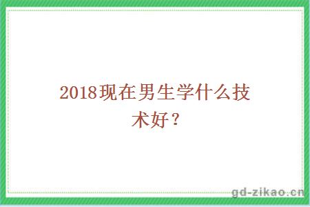 2018现在男生学什么技术好？