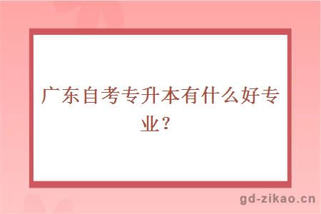 广东自考专升本有什么好专业？