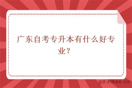 广东自考专升本有什么好专业?