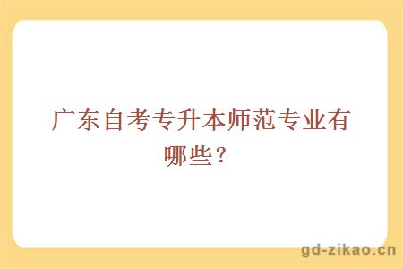 广东自考专升本师范专业有哪些?