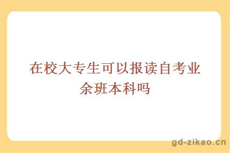 在校大专生可以报读自考业余班本科吗