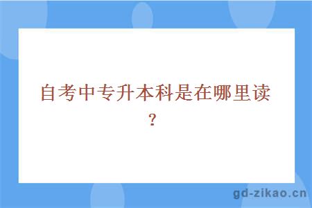 自考中专升本科是在哪里读?