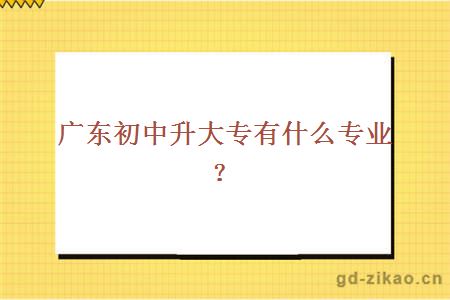 广东初中升大专有什么专业？