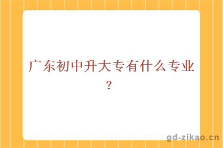 广东初中升大专有什么专业？1