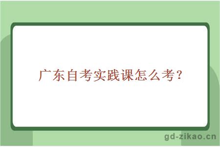 广东自考实践课怎么考?