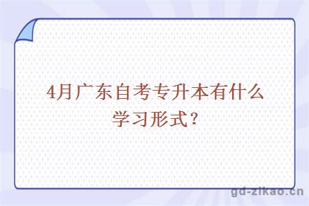 4月广东自考专升本有什么学习形式？