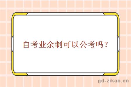自考业余制可以公考吗？