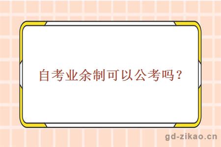 自考业余制可以公考吗？