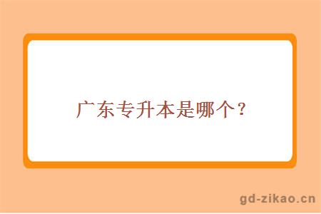 广东专升本网是哪个？