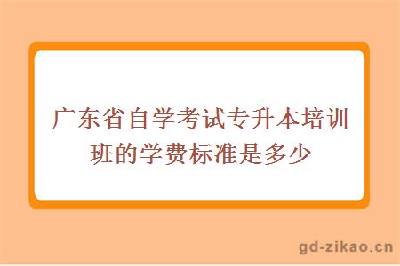 广东省自学考试专升本培训班的学费标准是多少