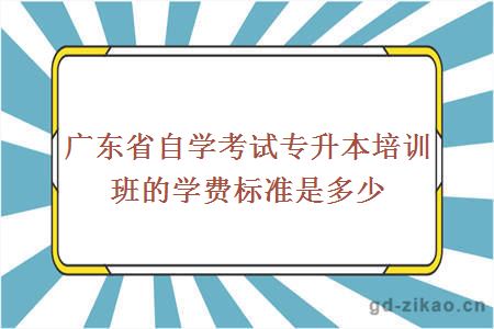 广东省自学考试专升本培训班的学费标准是多少？