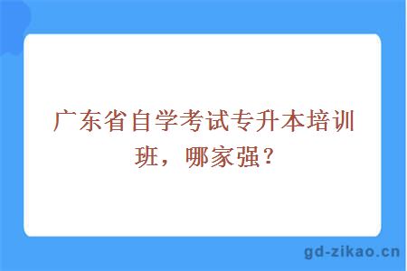 广东省自学考试专升本培训班，哪家强？