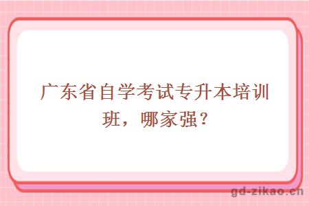 广东省自学考试专升本培训班，哪家强？