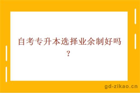 自考专升本选择业余制好吗?