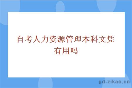 自考人力资源管理本科文凭有用吗